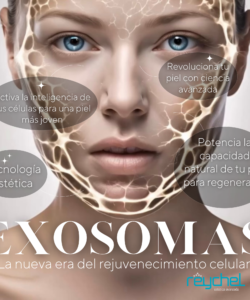 Exosomas